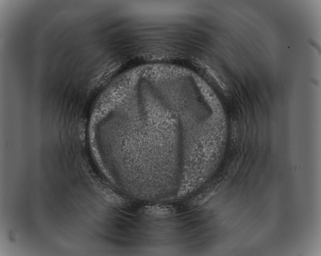 X0000091450545200709131717