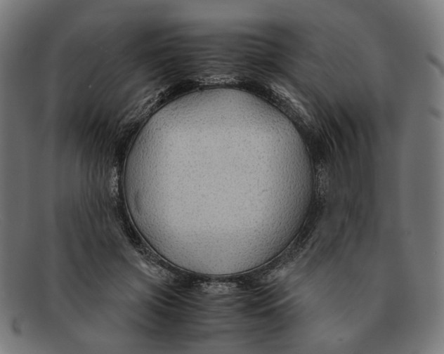X0000091450549200709131717