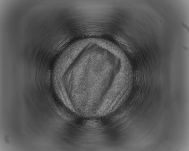 X0000091450550200709131717