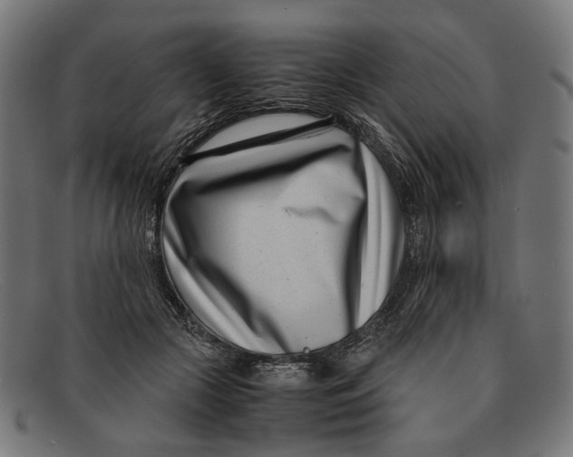 X0000091450553200709131717