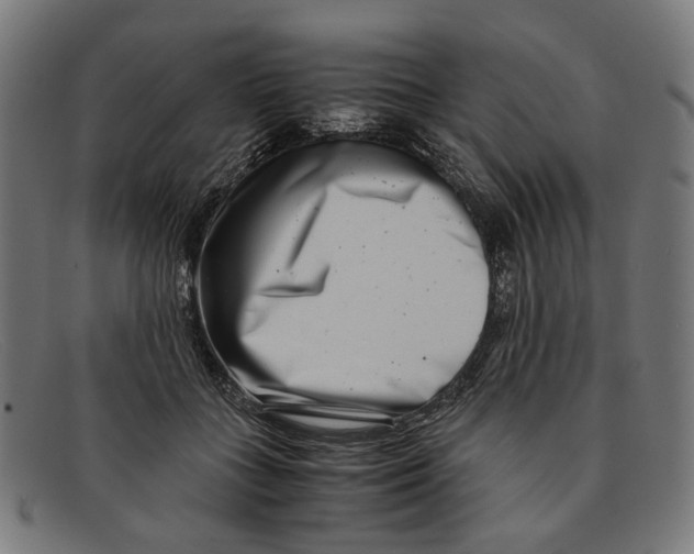 X0000091450555200709131717