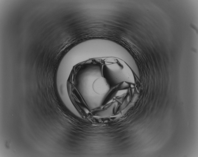 X0000091450556200709131717