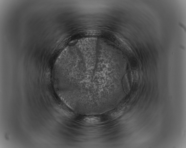 X0000091450557200709131717