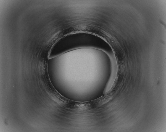 X0000091450558200709131717