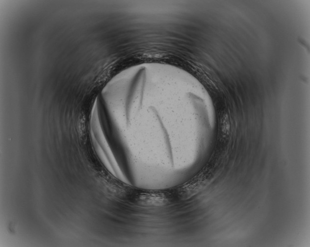 X0000091450559200709131717