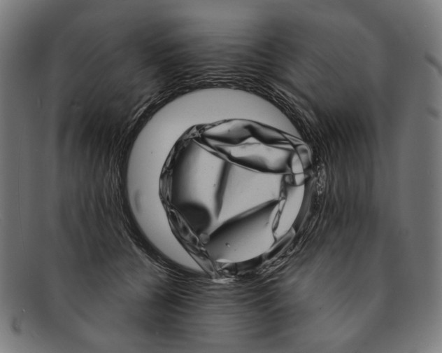 X0000091450560200709131717