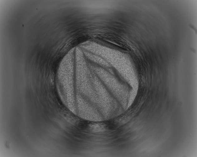 X0000091450561200709131717