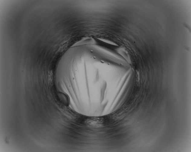 X0000091450563200709131717
