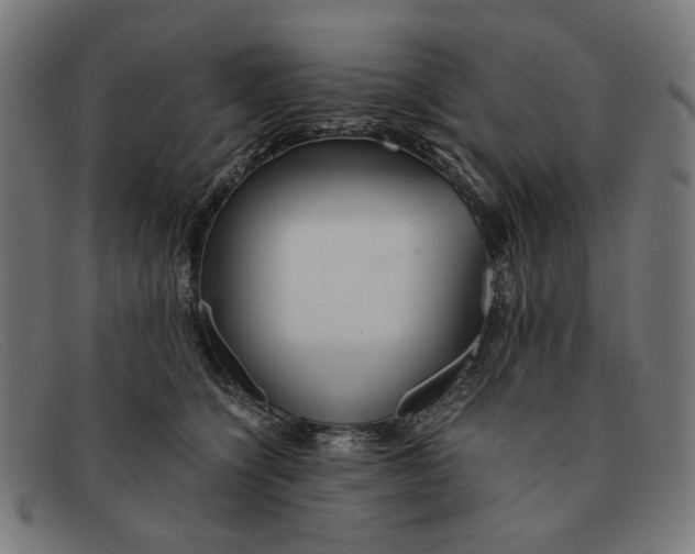 X0000091450564200709131717