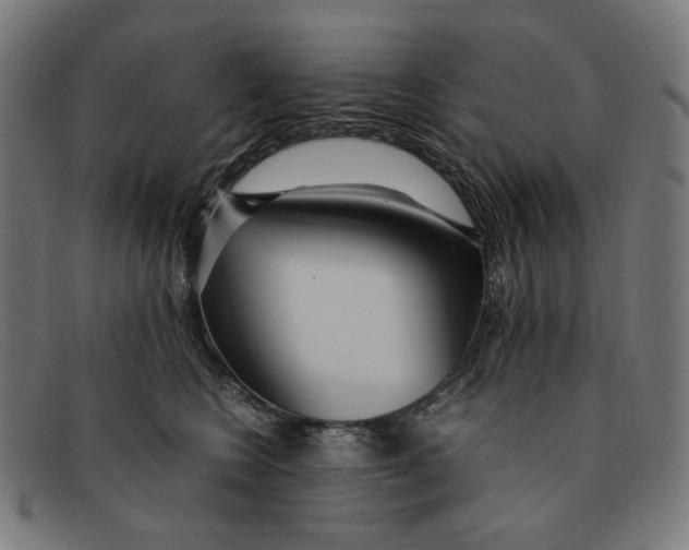 X0000091450566200709131717