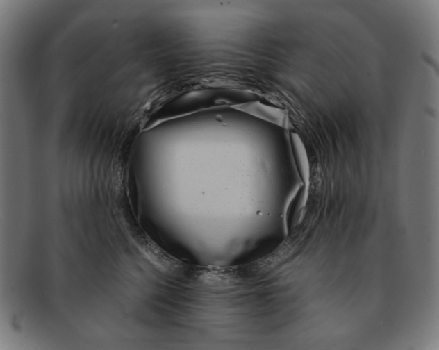 X0000091450568200709131717