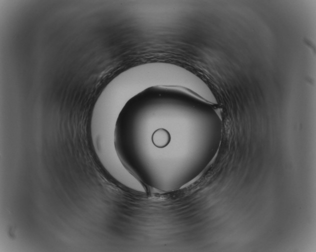 X0000091450570200709131717