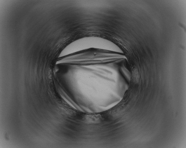 X0000091450571200709131717