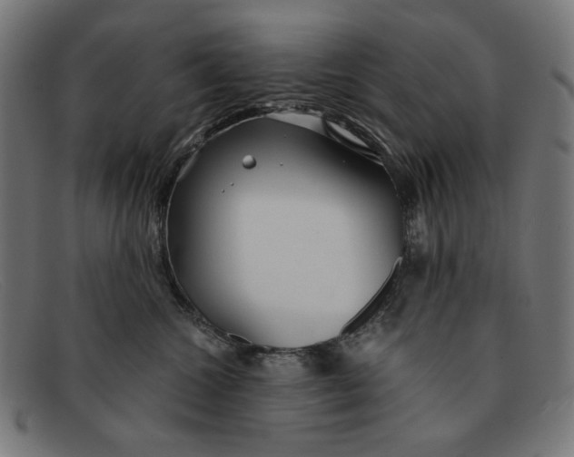 X0000091450572200709131717