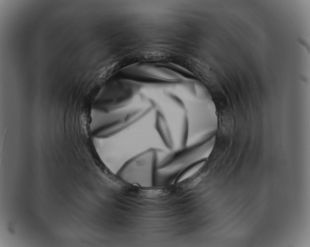 X0000091450575200709131717