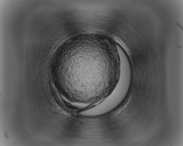 X0000091450577200709131717