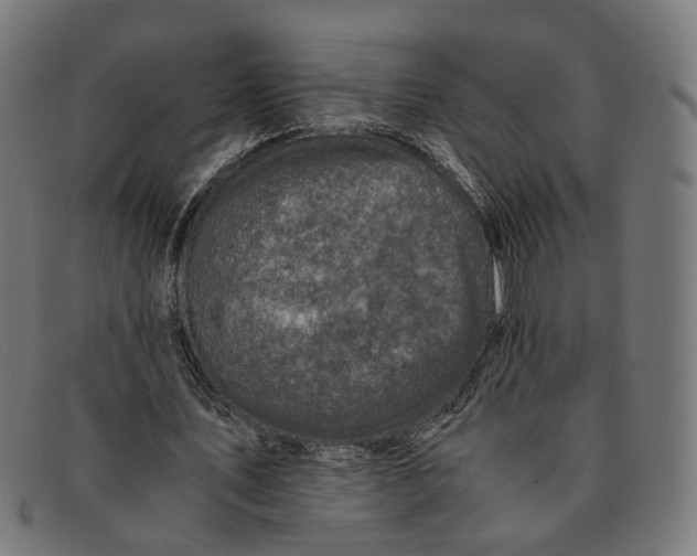 X0000091450579200709131717