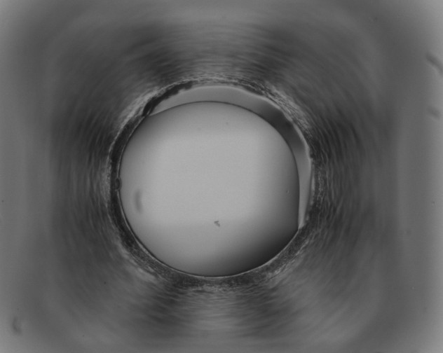 X0000091450580200709131717