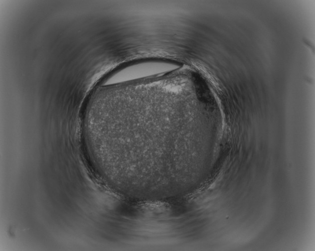 X0000091450583200709131717