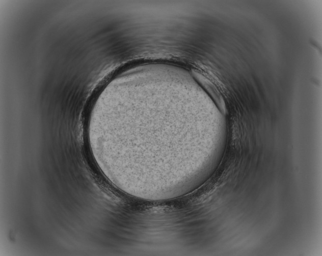 X0000091450584200709131717