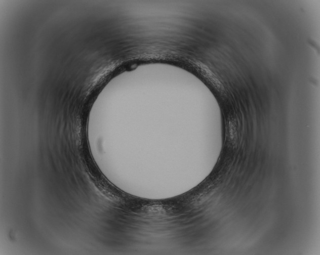 X0000091450588200709131717