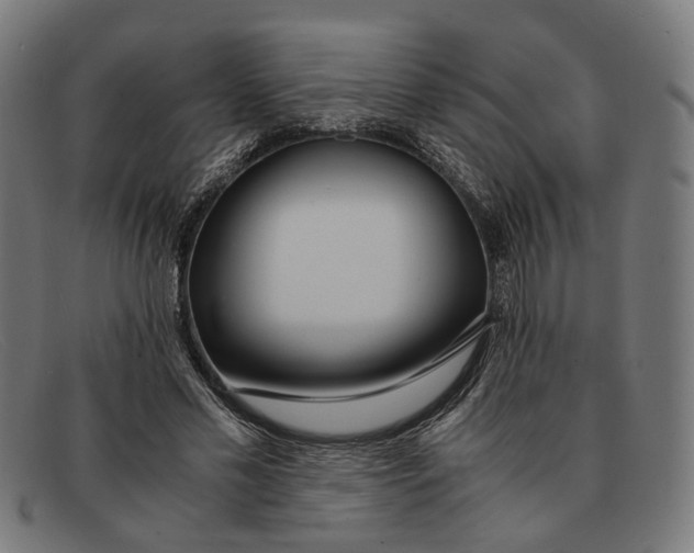 X0000091450589200709131717