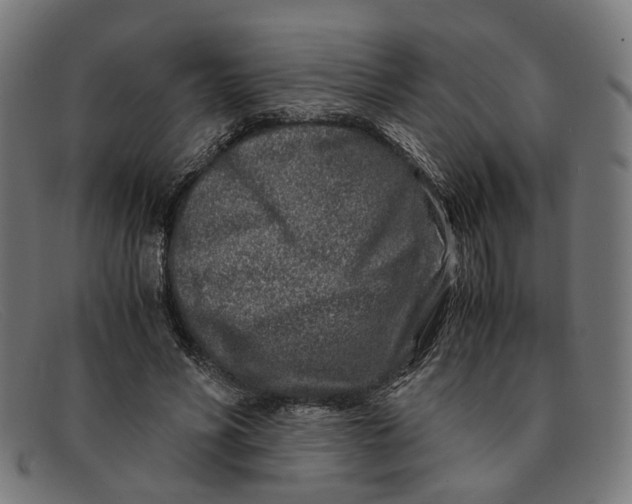 X0000091450590200709131717