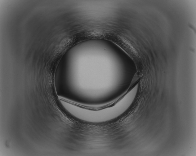 X0000091450593200709131717