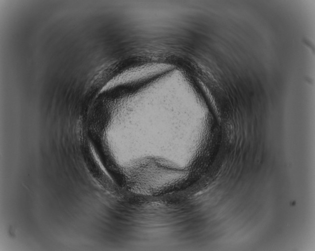 X0000091450594200709131717