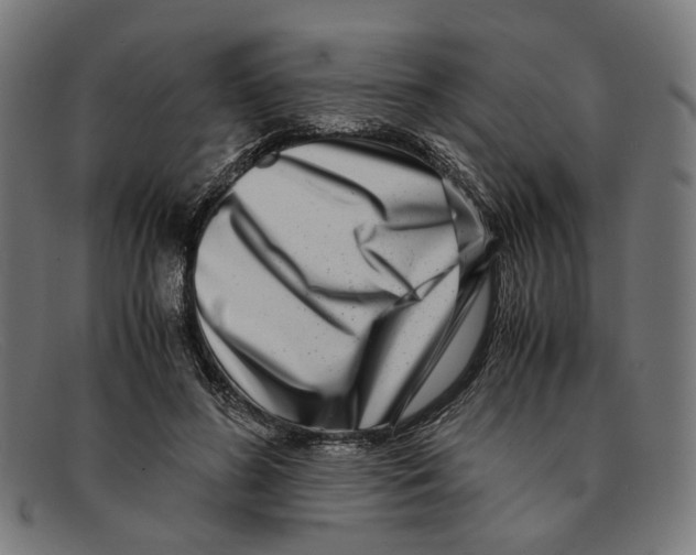 X0000091450596200709131717