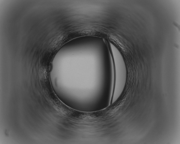 X0000091450597200709131717