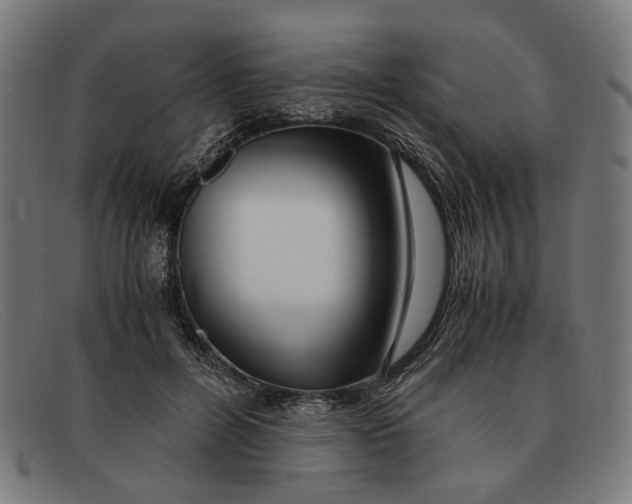 X0000091450600200709131716