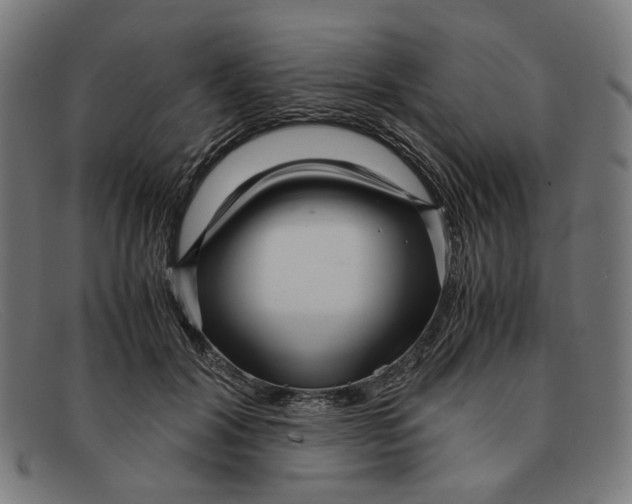 X0000091450604200709131716