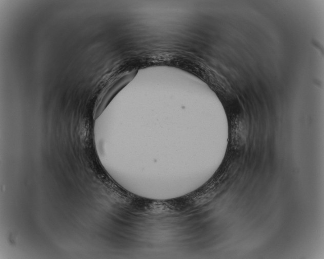 X0000091450608200709131716