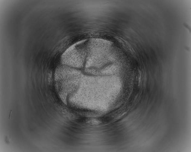 X0000091450610200709131716
