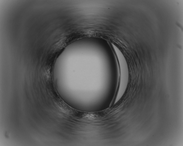 X0000091450611200709131716