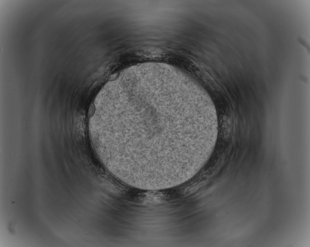 X0000091450612200709131716