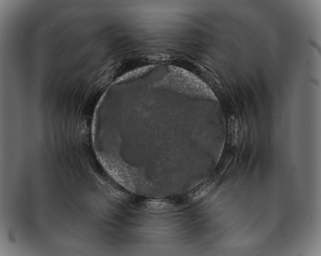 X0000091450614200709131716