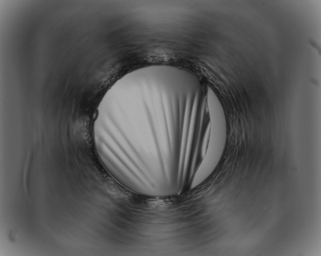 X0000091450616200709131716