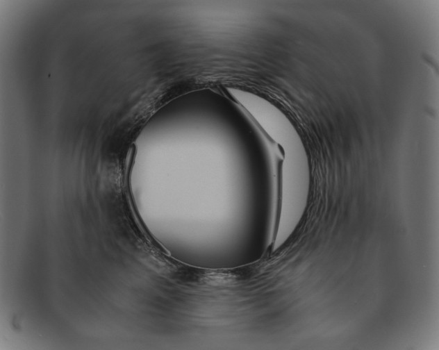 X0000091450617200709131716