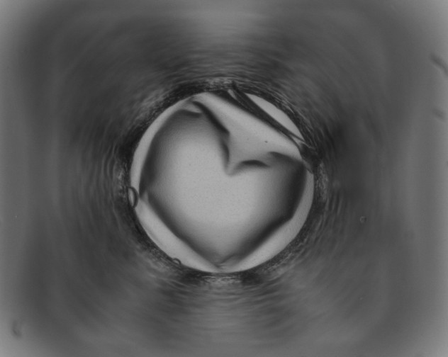 X0000091450619200709131716