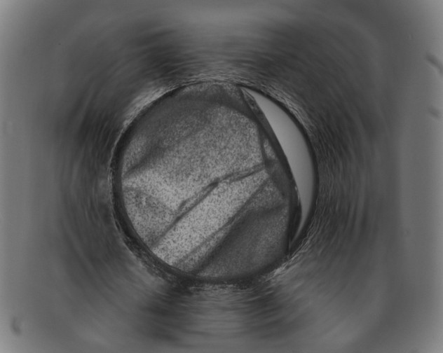 X0000091450626200709131716