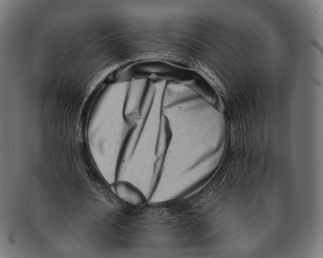 X0000091450628200709131716