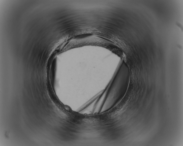 X0000091450630200709131716