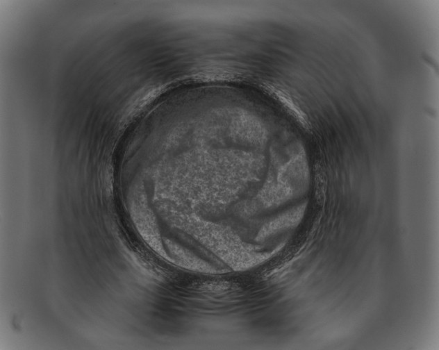 X0000091450631200709131716