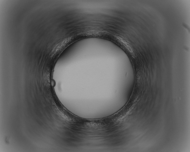 X0000091450633200709131716