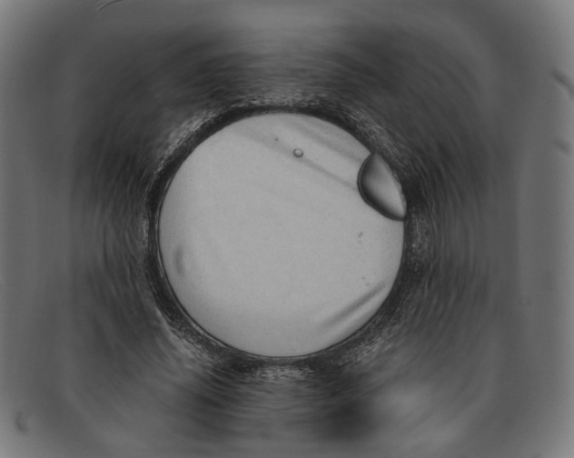 X0000091450636200709131716