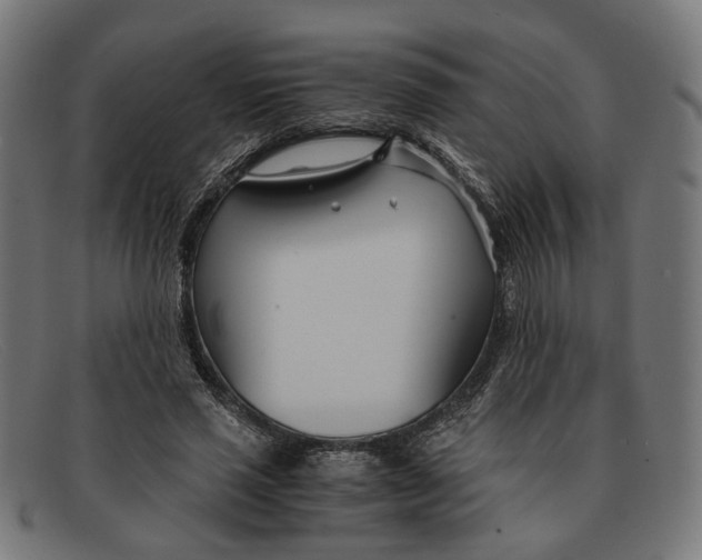 X0000091450637200709131716