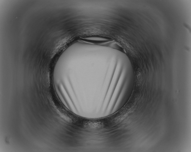 X0000091450638200709131716