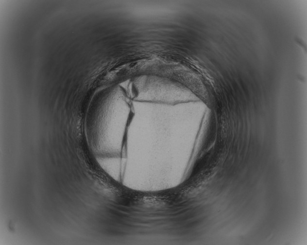 X0000091450641200709131716